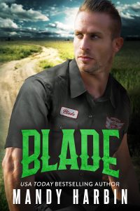 Book Cover: Blade