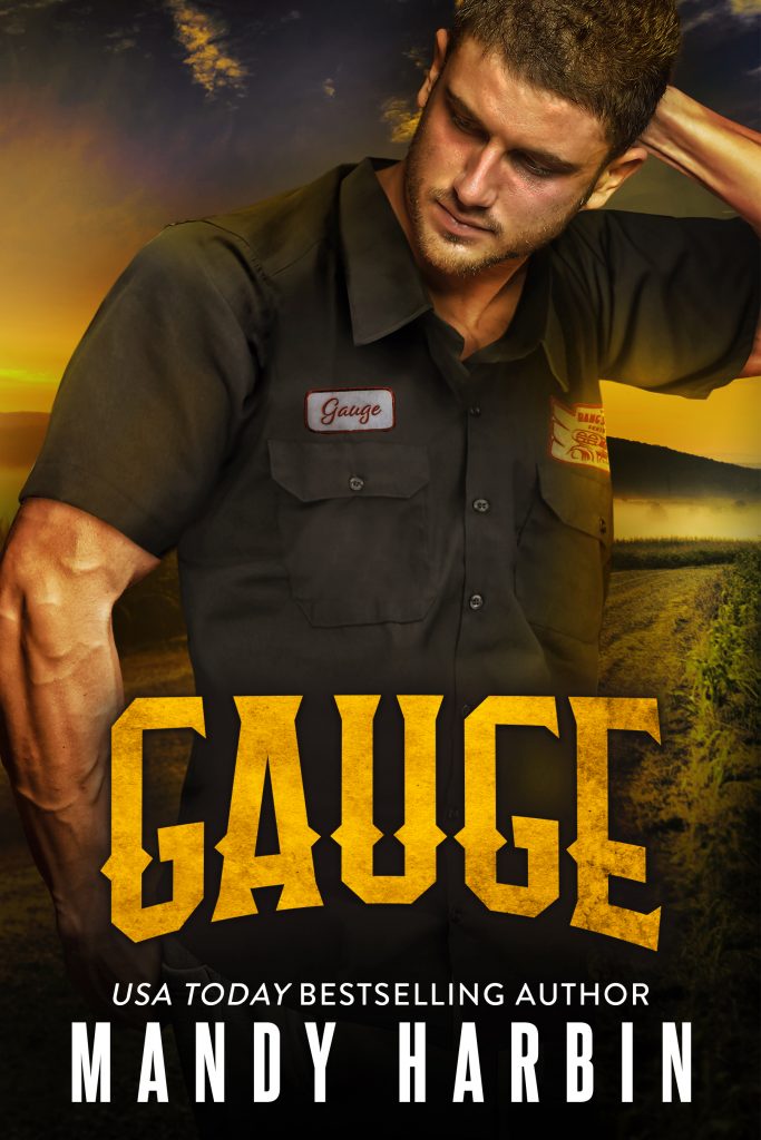 Book Cover: Gauge